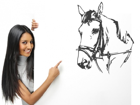Pferd Reiten Wandtattoo Aufkleber